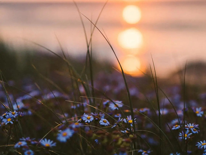 安胜2022新年献词 ׀ 陪伴的意义