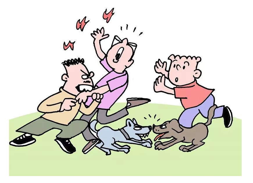 安胜原创丨刘颖：饲养宠物犬，需情感与理智并存