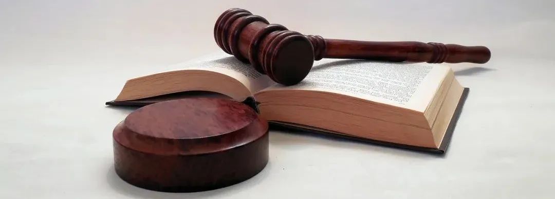 安胜原创丨刘颖:饲养宠物犬,需情感与理智并存